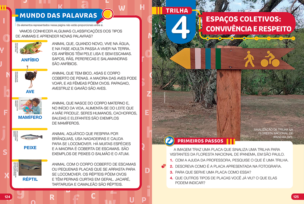 Banco de Palavras 3 Ano - 1, PDF, Alimentos