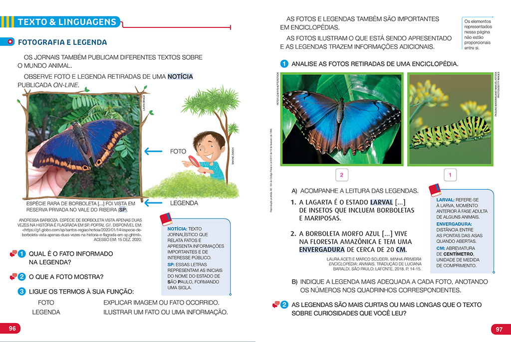 Língua Portuguesa - Texto de divulgação científica (4º ano) 