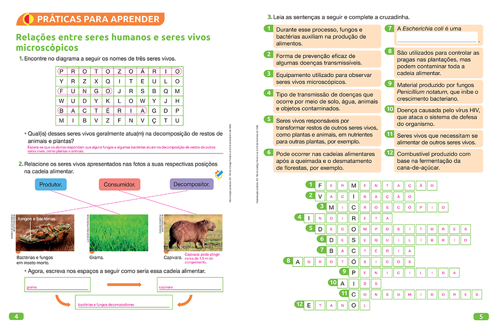 Atividade de Ciências sobre a Natureza - 2° e 3° ano