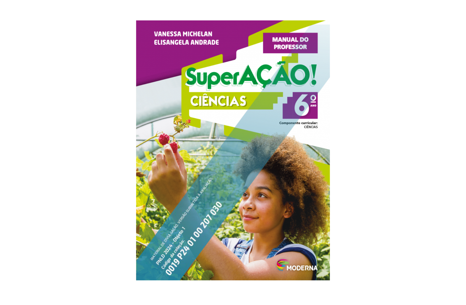 Imagem principal do livro