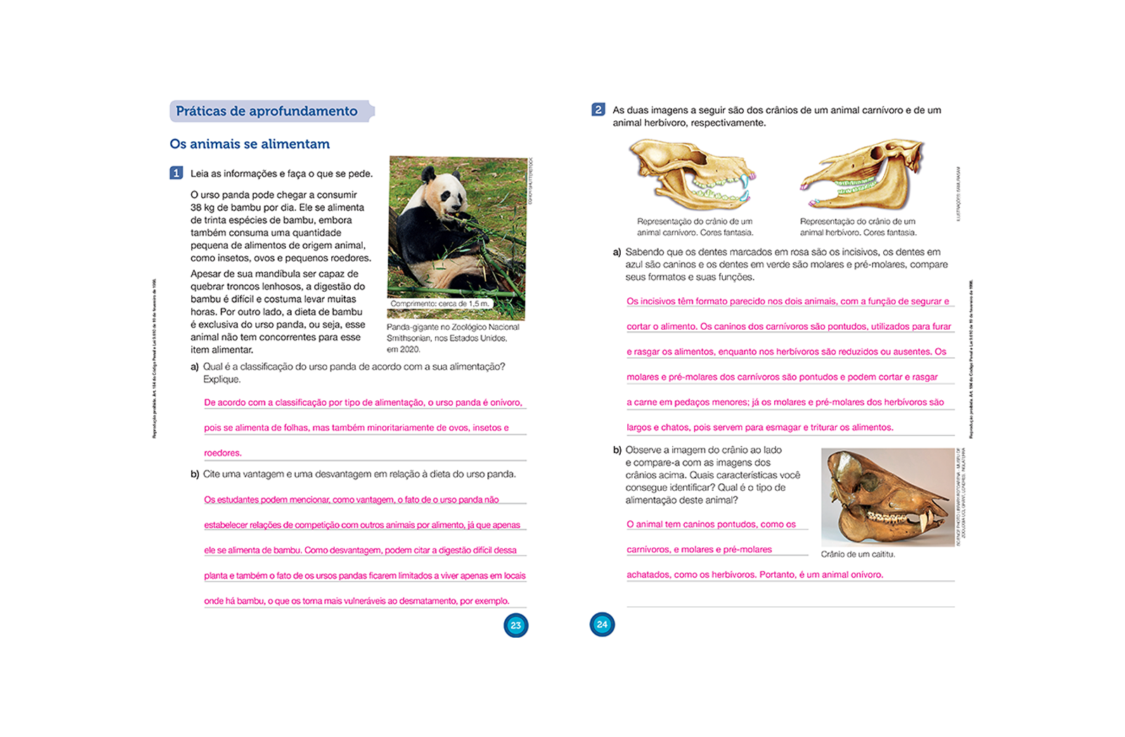 Seção voltada à revisão e fixação dos conhecimentos adquiridos em ciclos anteriores.
