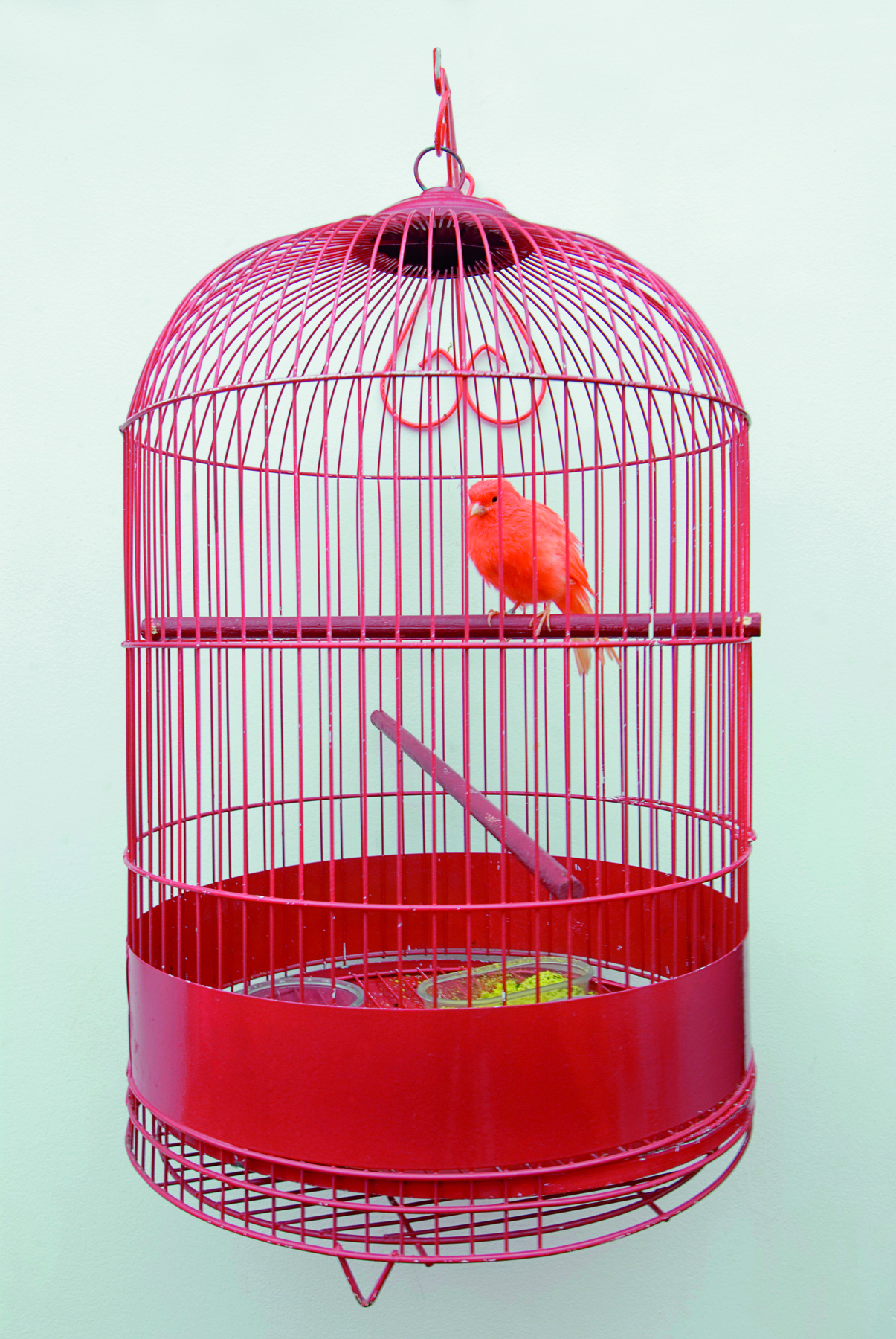 Fotografia. Detalhe da instalação com móveis vermelhos: uma gaiola vermelha arredondada com um pássaro vermelho sobre o poleiro.