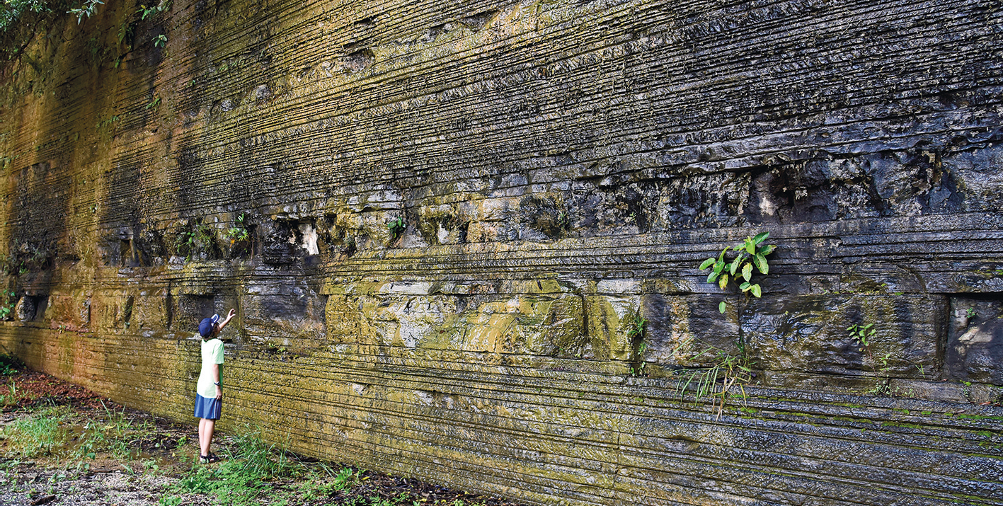 Fotografia. Uma pessoa em pé, em frente a uma grande parede rochosa, formada de camadas sobrepostas. Há algumas plantas.