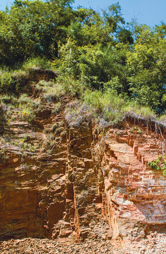 Fotografia. Um barranco, com rochas e solo exposto, de cor amarronzada e bastante vegetação na parte superior.
