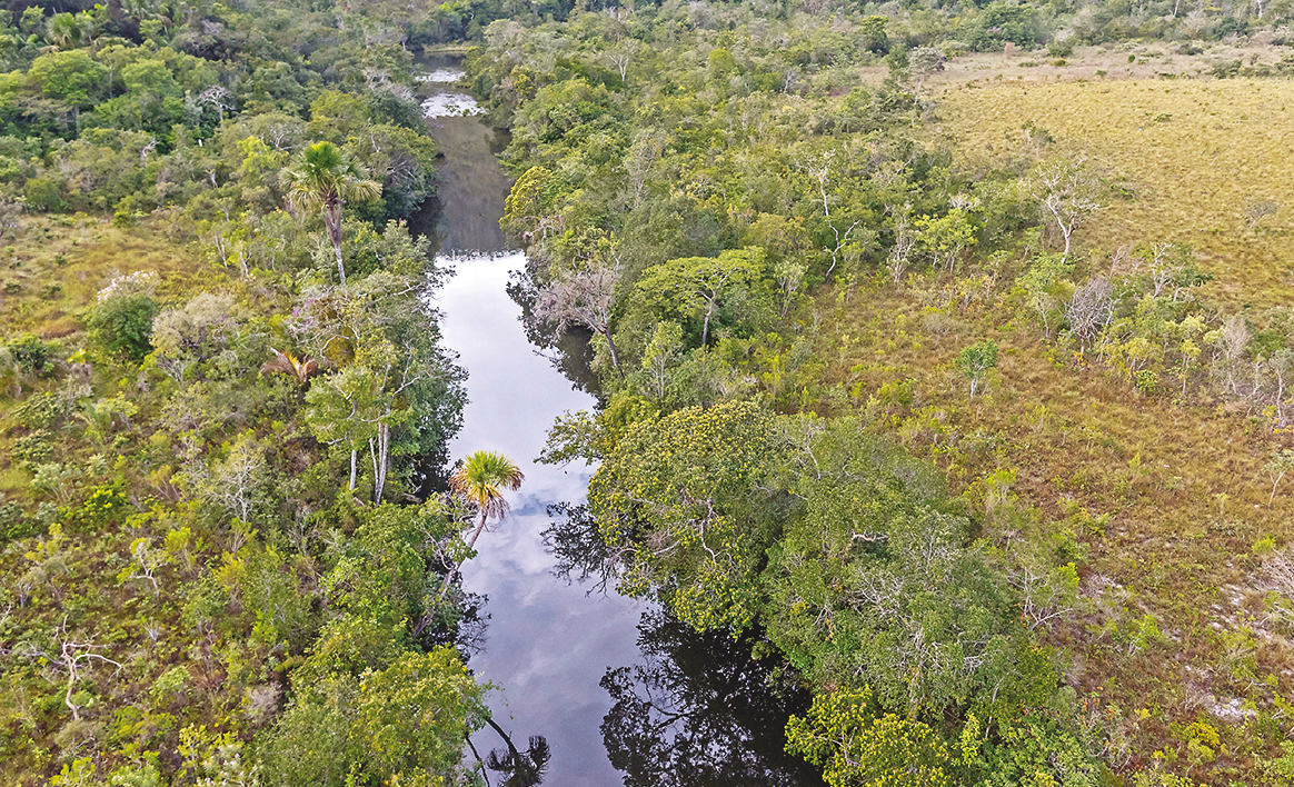Fotografia aérea de uma região ampla com muita vegetação e, no centro, um rio cortando a vegetação.