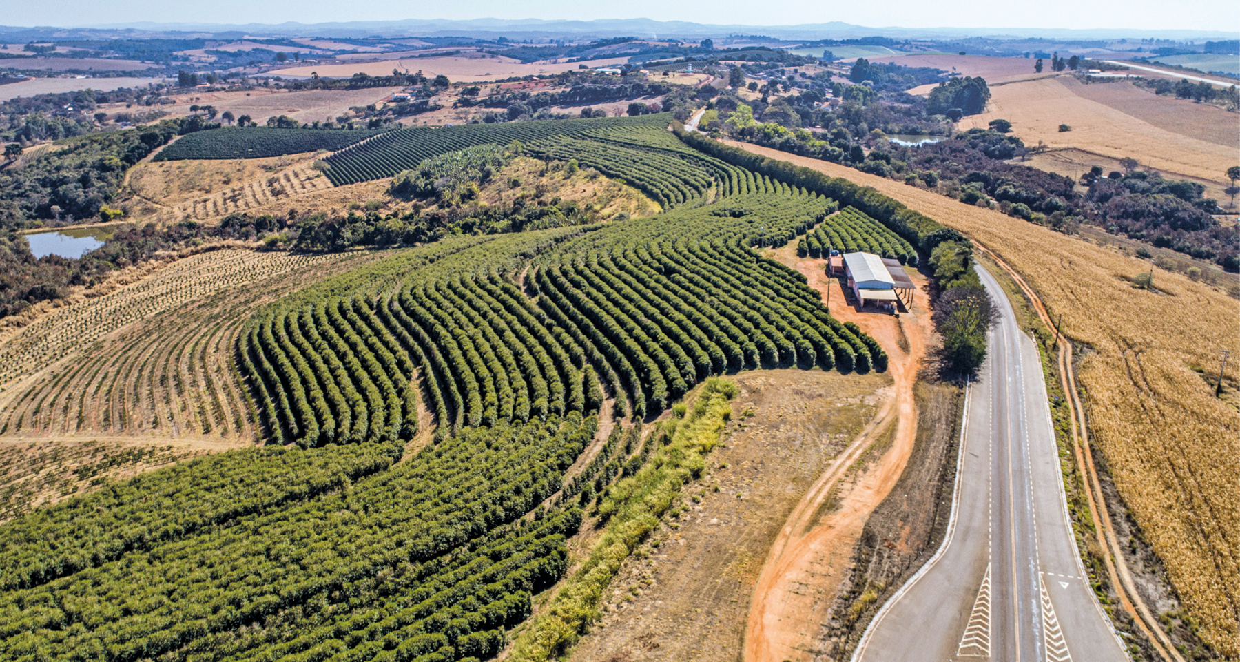 Fotografia. Vista aérea de uma vasta área com plantações e estrada. As plantações fazem curvas. Ao fundo, áreas com vegetação.
