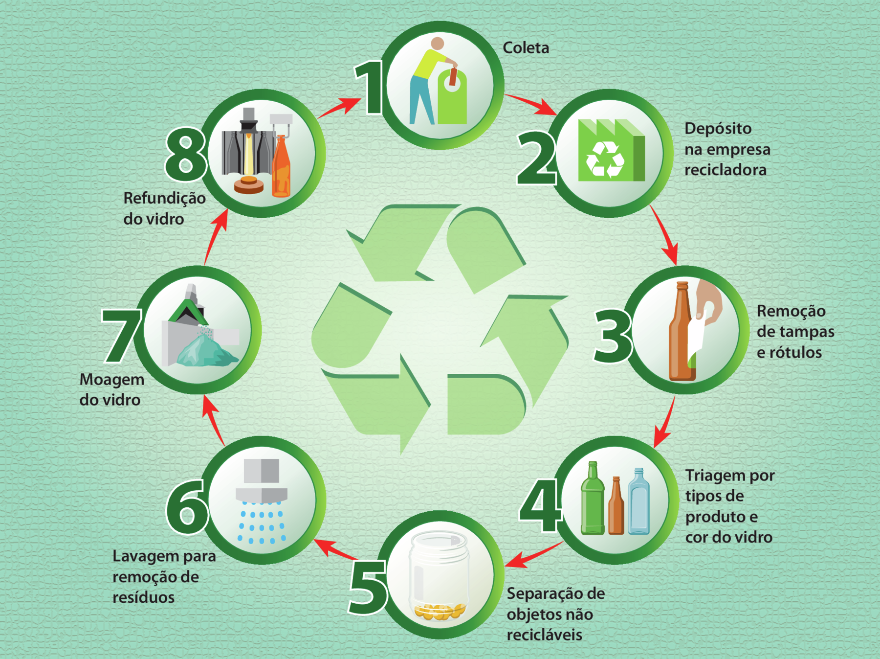 Esquema cíclico. Ao cento, o símbolo de reciclagem que é composto por três setas verdes, curvadas formando um triângulo. 1. Coleta – ilustração de um pictograma de um homem descartando um objeto em um cesto. 2. Depósito na empresa recicladora – ilustração de uma fábrica com o símbolo da reciclagem. 3. Remoção de tampas e rótulos – ilustração de uma mão retirando o rótulo de uma garrafa. 4. Triagem por tipos de produto e cor do vidro – ilustração de três garrafas de diferentes tamanhos e formatos. 5. Separação de objetos não recicláveis – ilustração de um recipiente transparente com objetos redondos amarelos dentro. 6. Lavagem para remoção de resíduos – ilustração de um chuveiro derramando água. 7. Moagem do vidro – ilustração de uma máquina derramando pequenos pedaços de vidro sobre um montante que está no chão. 8. Refundição do vidro - ilustração de uma máquina com formato de garrafa, ao lado, uma garrafa de vidro.