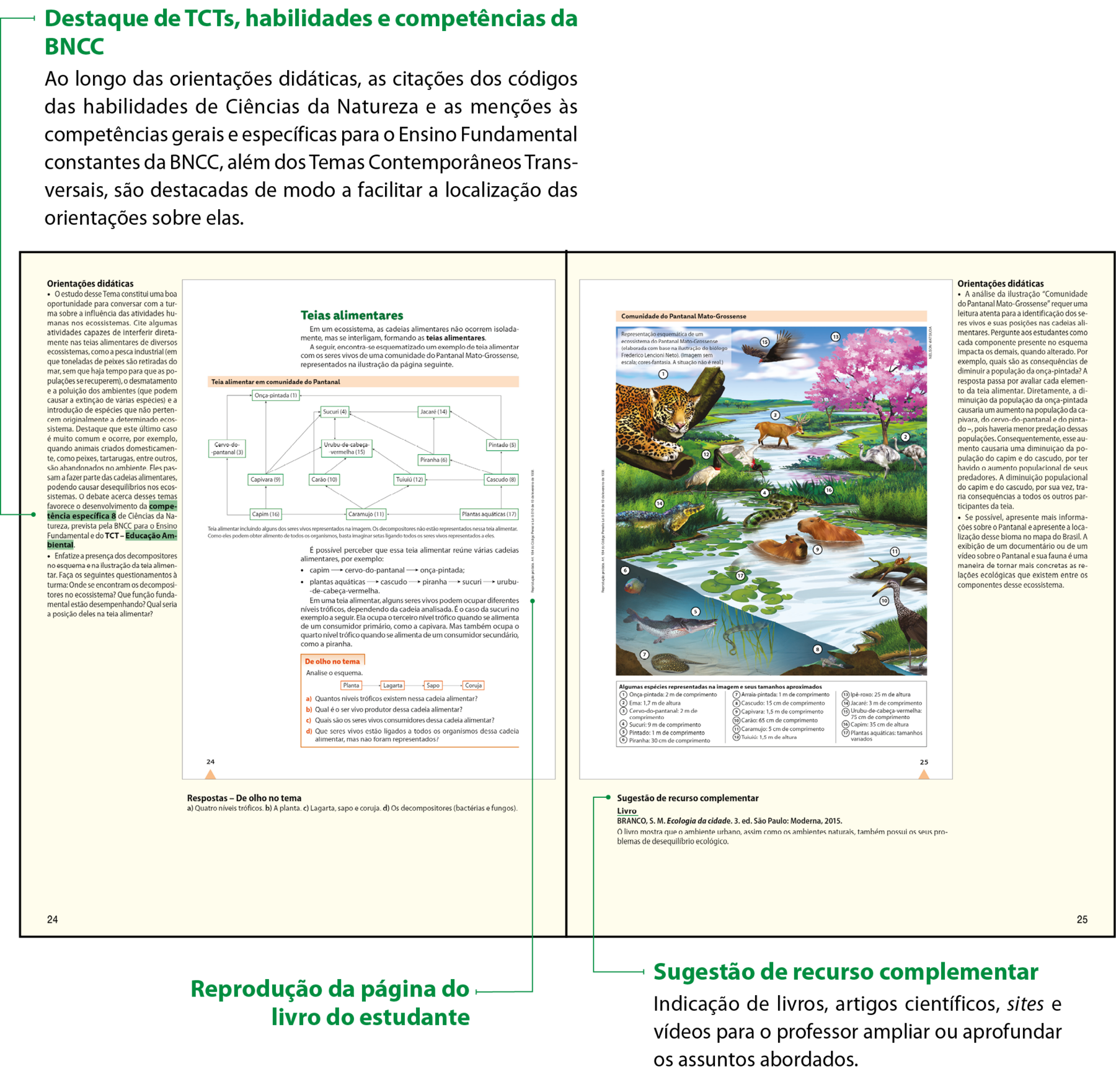 Miniatura de duas páginas do Manual do Professor, compostas por textos e imagens. Ao centro, há a reprodução das páginas do Livro do Estudante. Na lateral esquerda, destaque de TCTS, habilidades e competências da BNCC. Ao longo das orientações didáticas, as citações dos códigos das habilidades de Ciências da Natureza e as menções às competências gerais e específicas para o Ensino Fundamental constantes da BNCC, além dos Temas Contemporâneos Transversais,
são destacadas de modo a facilitar a localização das orientações sobre elas. Na parte de baixo à direita, sugestões de respostas e orientações para a realização ou ampliação das atividades propostas nas diferentes seções do livro. O título desta parte indica a seção do livro do estudante a que as respostas corresponde. Na lateral direita, orientações didáticas. Na parte de baixo à direita, encontram-se sugestões de recurso complementar, com indicações de livros, artigos científicos, sites e vídeos para o professor ampliar ou aprofundar os assuntos tratados.