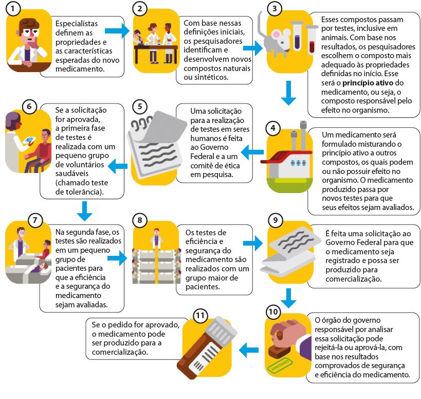 1 – ilustração de um homem branco de jaleco e óculos que está sentado, diante de uma mesa, com a mão próxima ao queixo: Especialistas defi­nem as propriedades e as características esperadas do novo medicamento. Seta para 2. Ilustração de uma mulher branca e um homem negro, ambos de jaleco em pé diante de uma bancada, segurando recipientes de vidro com líquidos. Ao lado, um homem olhando em um microscópio: Com base nessas definições iniciais, os pesquisadores identificam e desenvolvem novos compostos naturais ou sintéticos. Seta para 3. Ilustração de um rato, animal pequeno com orelhas arredondadas, cauda fina e comprida e, ao lado, tubos de ensaio com líquido dentro: Esses compostos passam por testes, inclusive em animais. Com base nos resultados, os pesquisadores escolhem o composto mais adequado às propriedades definidas no início. Esse será o princípio ativo do medicamento, ou seja, o composto responsável pelo efeito no organismo. Seta para 4. Ilustração de uma fábrica, construção com janelas e algumas torres: Um medicamento será formulado misturando o princípio ativo a outros compostos, os quais podem ou não possuir efeito no organismo. O medicamento produzido passa por novos testes para que seus efeitos sejam avaliados. Seta para 5. Ilustração de um bloquinho de anotações: Uma solicitação para a realização de testes em seres humanos é feita ao Governo Federal e a um comitê de ética em pesquisa. Seta para 6. Ilustração de uma mulher negra que está em pé, segurando um tablet. À frente dela, um rapaz branco sentado em uma cadeira: Se a solicitação for aprovada, a primeira fase de testes é realizada com um pequeno grupo de voluntários saudáveis (chamado teste de tolerância). Seta para 7. Ilustração de homem branco de jaleco e óculos em pé, olhando na direção de duas macas, uma com um homem branco deitado e outra com um homem branco sentado: Na segunda fase, os testes são realizados em um pequeno grupo de pacientes para que a eficiência e a segurança do medicamento sejam avaliadas. Seta para 8. Ilustração que mostra um homem branco em pé, usando jaleco. Ele está diante de seis macas onde pessoas estão deitadas: Os testes de eficiência e segurança do medicamento são realizados com um grupo maior de pacientes. Seta para 9. Ilustração de um papel dobrado com algumas inscrições sobre ele: É feita uma solicitação ao Governo Federal para que o medicamento seja registrado e possa ser produzido para comercialização. Seta para 10. Ilustração de uma mão segurando um carimbo de “aprovado”: O órgão do governo responsável por analisar essa solicitação pode rejeitá-la ou aprová-la, com base nos resultados comprovados de segurança e eficiência do medicamento. Seta para 11. Ilustração de um frasco com tampa e rótulo: Se o pedido for aprovado, o medicamento pode ser produzido para a comercialização.