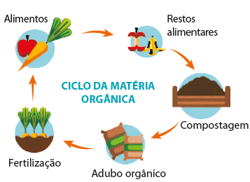 Esquema cíclico. Ciclo da matéria orgânica.Alimentos: ilustração de uma maçã vermelha e de uma cenoura. Seta para: Restos alimentares: ilustração de casca de banana e maçã mordida. Seta para: Compostagem: ilustração de uma porção de solo escuro dentro de um recipiente retangular. Seta para: Adubo orgânico: ilustração de sacos amarronzados empilhados. Seta para: Fertilização: ilustração de cenouras plantadas no solo. Seta para: alimentos (volta ao início do esquema).