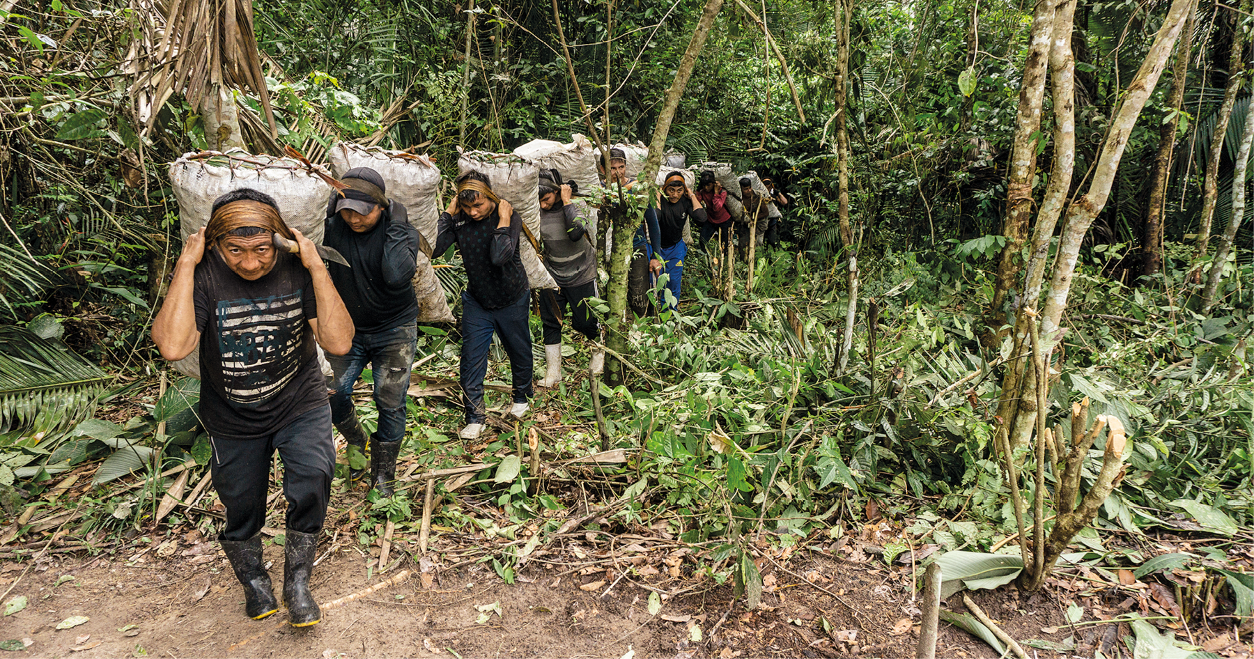 Fotografia. Várias pessoas em pé, enfileiradas, segurando grandes sacos sobre as costas. Todos estão em meio a uma área de floresta, com solo e vegetação ao redor.
