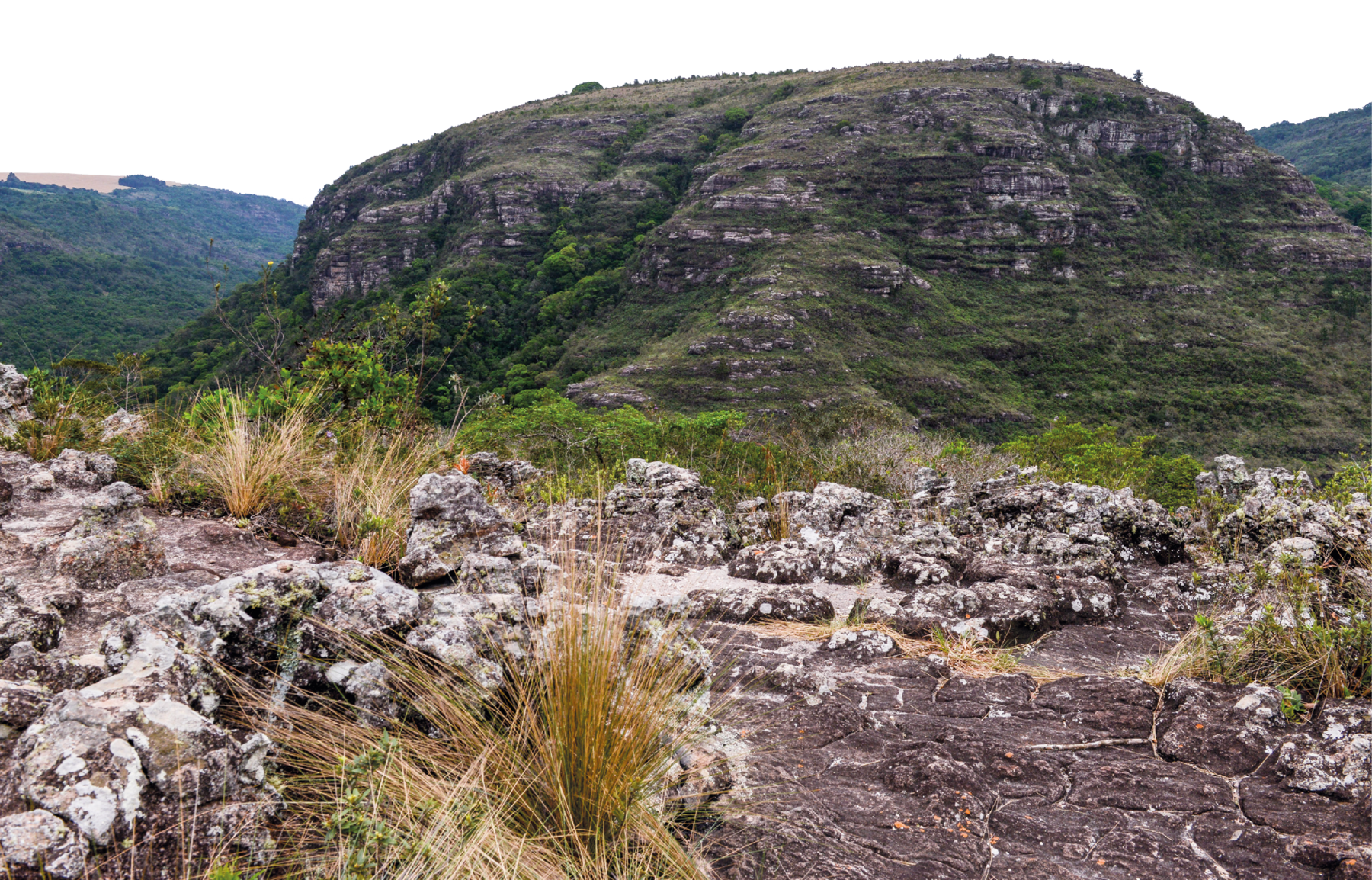 Fotografia. Ambiente amplo com muitas rochas no chão. Ao fundo, há um morro, grande rocha, com vegetação.