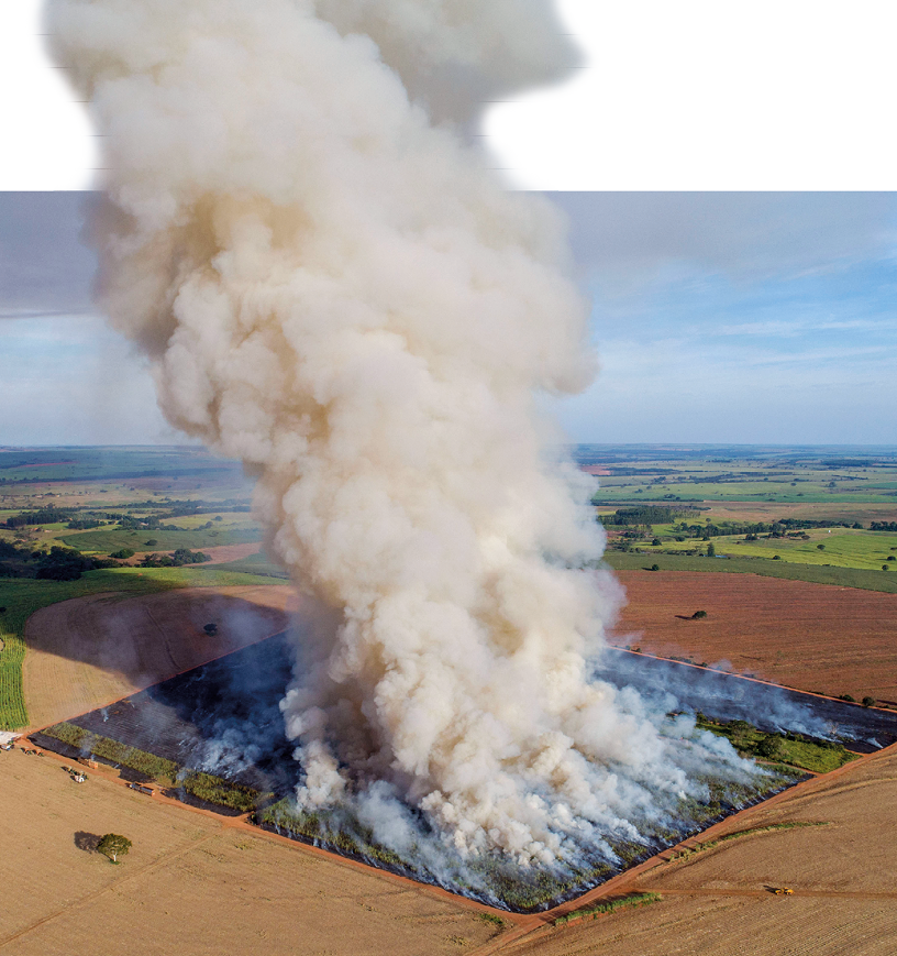 Fotografia. Vista aérea de uma grande plantação com muita fumaça. Ao redor, solo e outras plantações.