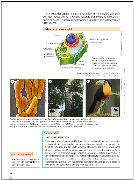 Miniatura de página do livro, com as seções De olho no tema e Saiba mais! Composta por textos e imagens. Em uma fotografia de ser vivo há indicação para o ícone-medida.