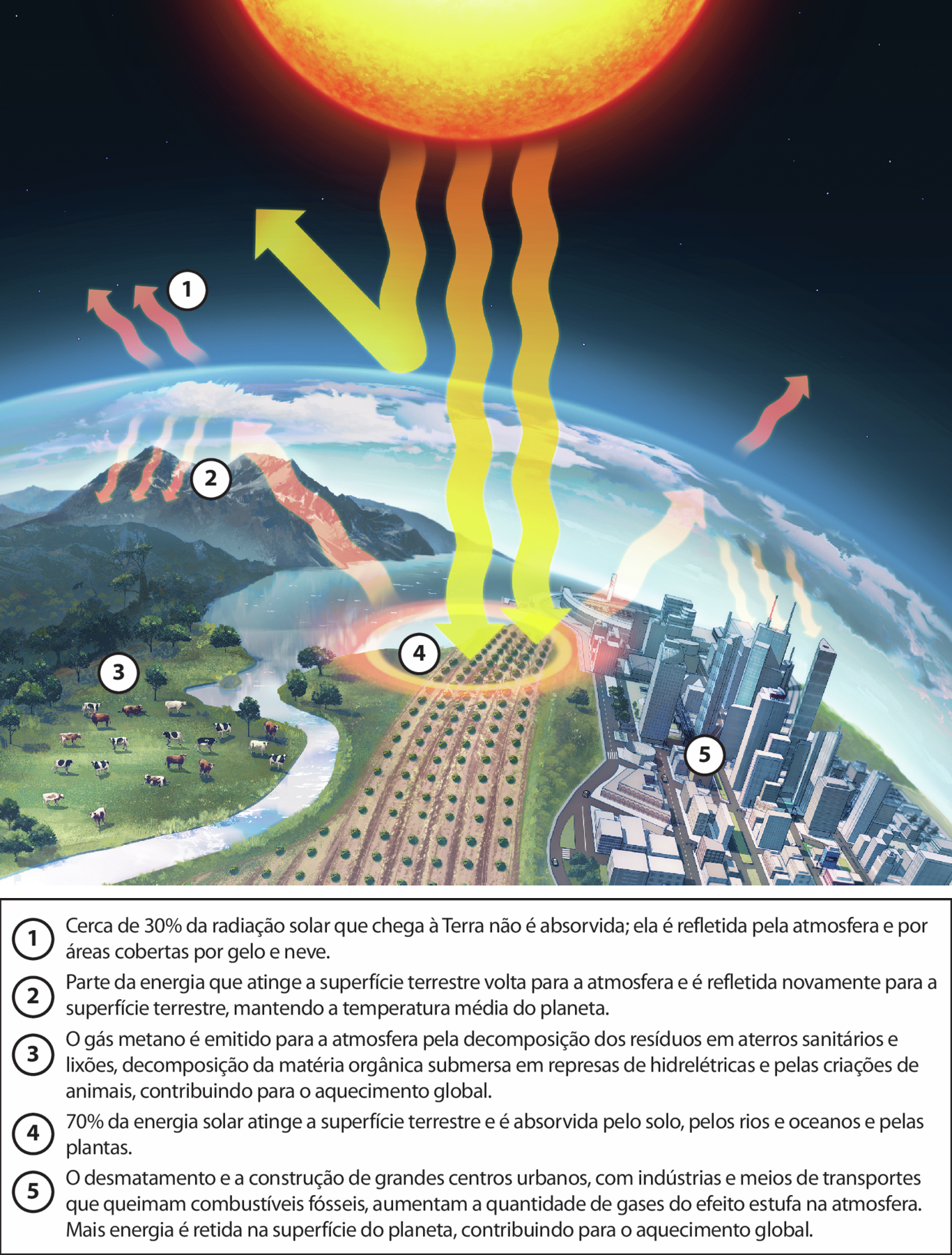 Esquema. Parte da superfície da Terra vista do espaço, uma camada envolve a superfície. O Sol no alto projeta longos raios amarelos em direção à superfície do planeta. Alguns raios são refletidos na camada e voltam para o espaço (1); os demais vão até superfície da Terra (4). Uma parte dos raios é refletida pela superfície de um lago e, depois, refletida pela atmosfera novamente para baixo (2). Sobre um campo há pasto com animais de rebanho (3). Na cidade, longas nuvens cinzas e raios ao bater na atmosfera voltam para prédios e casas (5). Abaixo textos com números: 1. Cerca de 30% da radiação solar que chega à Terra não é absorvida; ela é refletida pela atmosfera e por áreas cobertas por gelo e neve. 2. Parte da energia que atinge a superfície terrestre volta para a atmosfera e é refletida novamente para a superfície terrestre, mantendo a temperatura média do planeta. 3. O gás metano é emitido para a atmosfera pela decomposição dos resíduos em aterros sanitários e lixões, decomposição da matéria orgânica submersa em represas de hidrelétricas e pelas criações de animais, contribuindo para o aquecimento global. 4. 70 porcento da energia solar atinge a superfície terrestre e é absorvida pelo solo, pelos rios e oceanos e pelas plantas. 5. O desmatamento e a construção de grandes centros urbanos, com indústrias e meios de transportes que queimam combustíveis fósseis, aumentam a quantidade de gases do efeito estufa na atmosfera. Mais energia é retida na superfície do planeta, contribuindo para o aquecimento global.