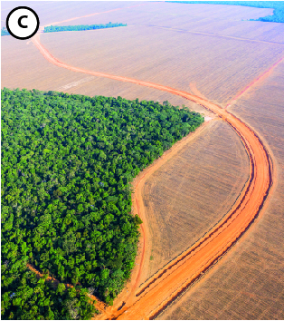 Fotografia C: Vista aérea de uma região de mata com partes desmatadas.