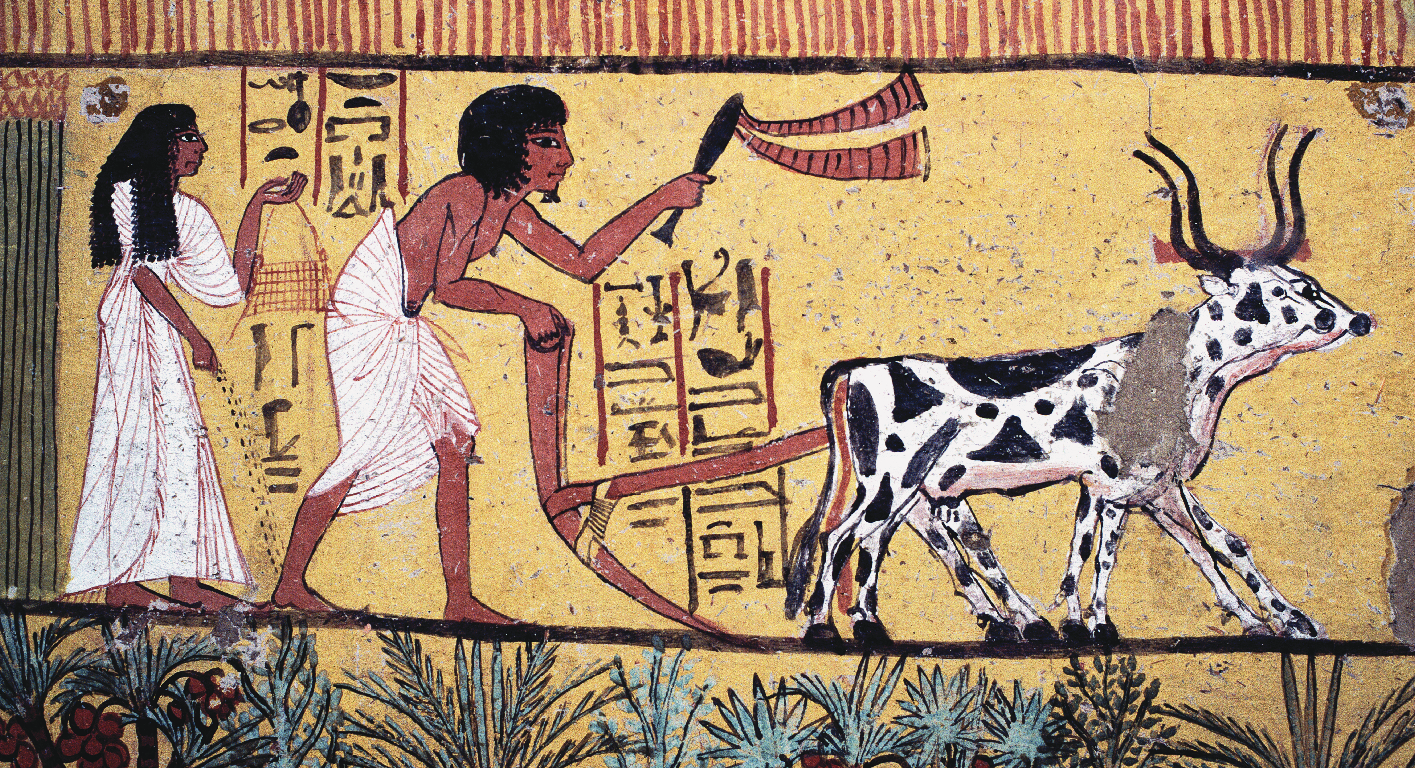 Ilustração. Quadro com homem e mulher egípcios com vestimentas brancas. Homem segura um arado antigo puxado por bois bois em um campo de plantação. Mulher atrás do homem segura um cesto enquanto joga sementes.
