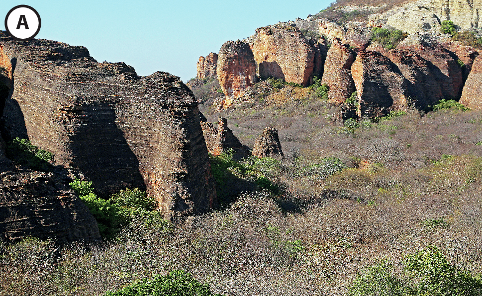 Fotografia A: Vista de ambiente com vegetação marrom seca entre morros pedregosos.