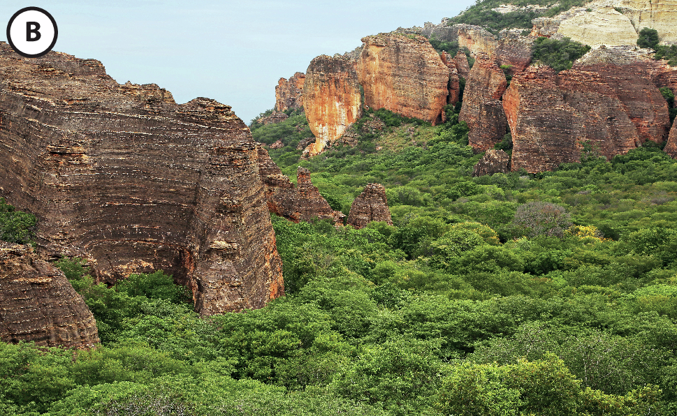 Fotografia B: Vista do mesmo ambiente, mas com vegetação densa e verde.