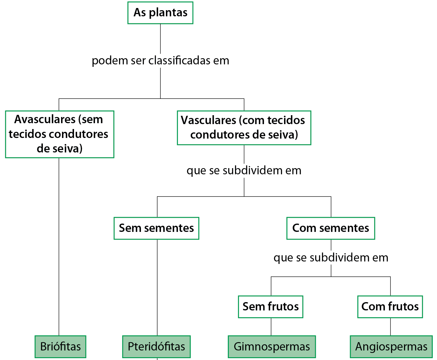 Diagrama. As plantas: podem ser classificadas em: Avasculares (sem tecidos condutores de seiva); Briófitas. As plantas: podem ser classificadas em: Vasculares (com tecidos condutores de seiva): que se subdividem em: sem sementes: Pteridófitas; ou com sementes. As plantas: podem ser classificadas em: Vasculares (com tecidos condutores de seiva): que se subdividem em: com sementes: que se subdividem em: sem frutos; Gimnospermas; ou com frutos; Angiospermas.