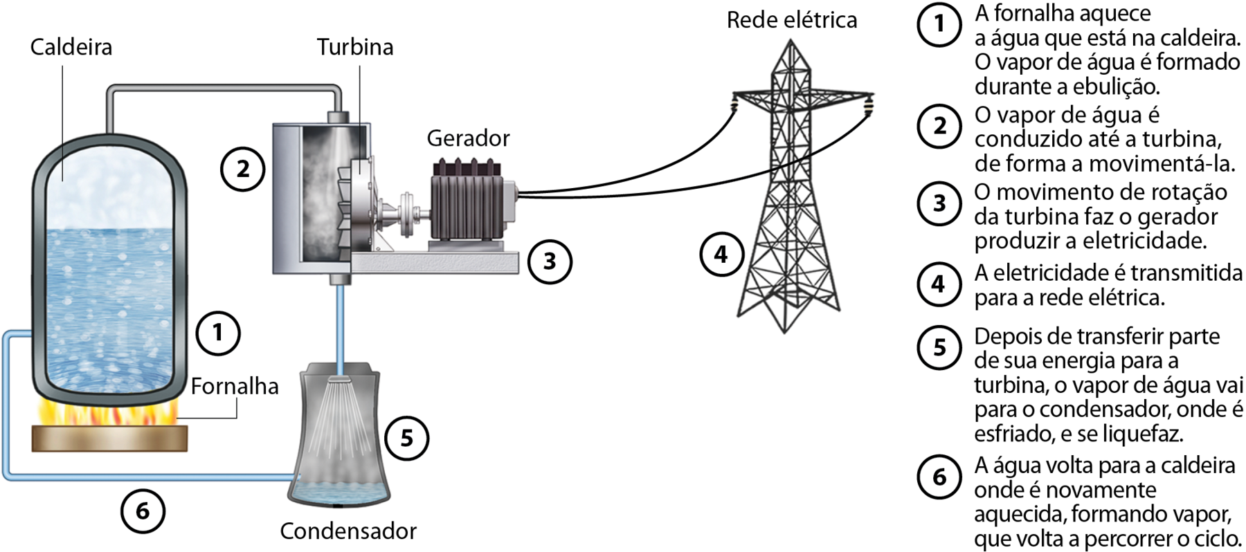 Esquema. Construção cilíndrica (caldeira) vista em corte lateral. No seu interior há água até a metade. A água está fervendo. Na parte inferior da caldeira há uma base da qual sai fogo (fornalha). Número 1 ao lado da caldeira. Um cano sai da parte superior da caldeira e vai para uma cavidade. O cano jorra vapor dentro dessa cavidade que incide sobre pás de uma hélice (turbina) que por sua vez estão conectadas em um aparelho (gerador). Ao lado da cavidade há o número 2 e ao lado do gerador há o número 3. Do gerador saem dois fios que vão para uma torre de transmissão de energia elétrica. Ao lado da torre há o número 4 e em cima da torre há o texto Rede elétrica. Da parte debaixo da cavidade sai um cano que vai para uma construção cilíndrica (condensador), com a base maior que o topo. Na base há água e no interior o cano jorra água. Há o número 5 ao lado do condensador. Do condensador sai um cano que se liga à parte inferior da caldeira. Ao lado da ilustração há os textos: 1. A fornalha aquece a água que está na caldeira. O vapor de água é formado durante a ebulição. 2. O vapor de água é conduzido até a turbina, de forma a movimentá-la. 3. O movimento de rotação da turbina faz o gerador produzir a eletricidade. 4. A eletricidade é transmitida para a rede elétrica. 5. Depois de transferir parte de sua energia para a turbina, o vapor de água vai para o condensador, onde é esfriado, e se liquefaz. 6. A água volta para a caldeira onde é novamente aquecida, formando vapor, que volta a percorrer o ciclo.
