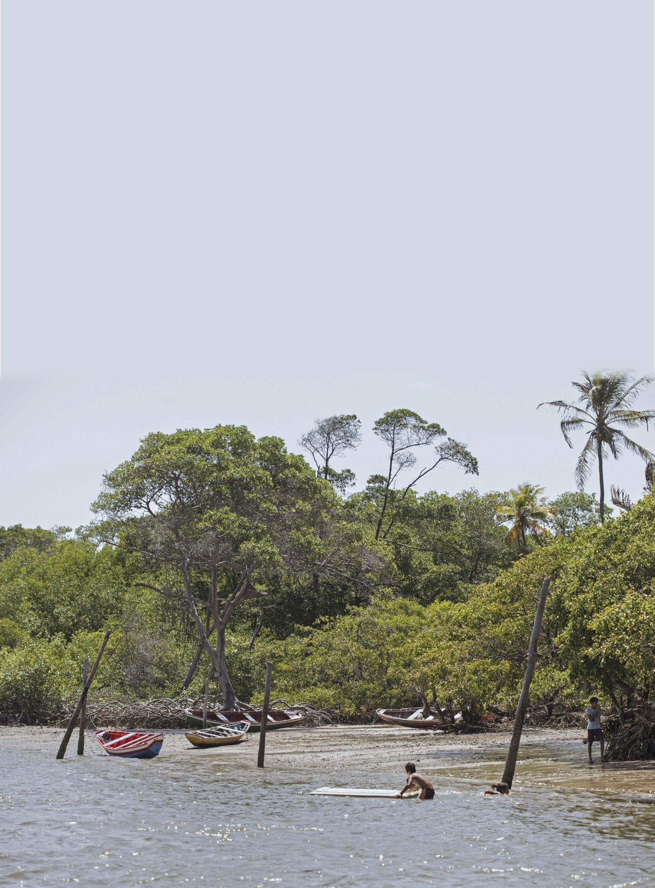 Fotografia. Margem de um rio com barcos pequenos, três pessoas na água e uma na margem. Ao redor, há vegetação densa com árvores diversas.