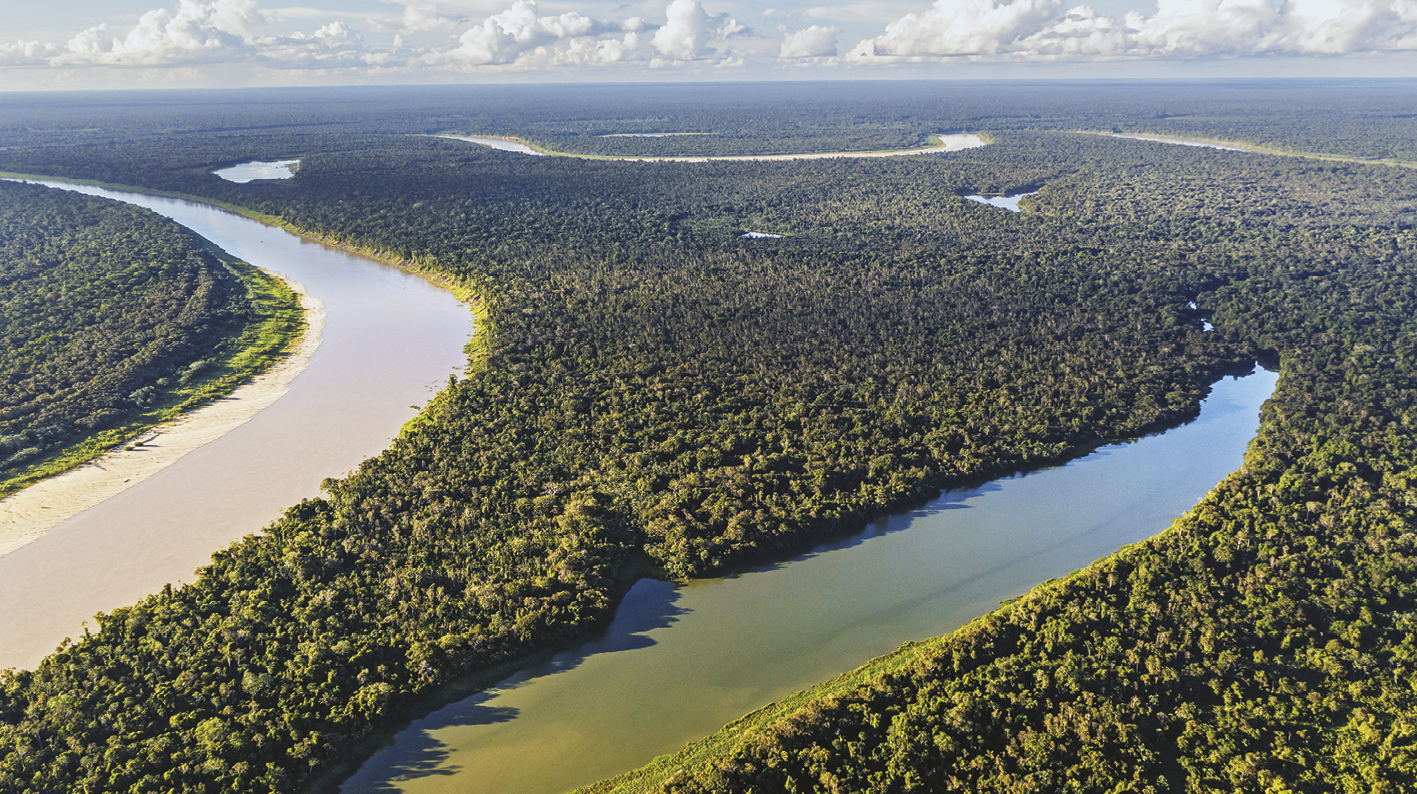 Fotografia. Vista aérea de mata fechada com rios extensos formando fazendo curvas.