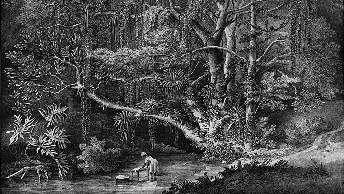 Ilustração em preto e branco. Árvores em uma floresta fechada alta e densa. Na margem de um rio há uma mulher de vestido e faixa na cabeça segurando um balde.