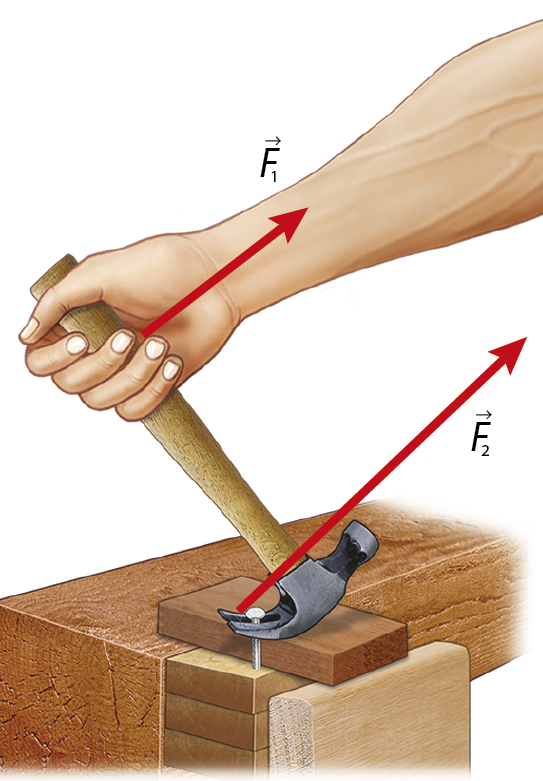 Ilustração. Destaque para uma mão usando um martelo para sacar um prego preso a uma tábua. Uma seta F1 parte da mão que segura o cabo do martelo. Outra seta F2 parte da região onde o prego está em contato com o martelo. A seta F2 possui comprimento maior do que a seta F1.