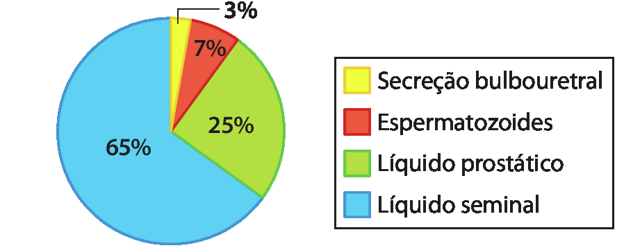 Gráfico de setores da composição do sêmen. Secreção bulbouretral: 3 porcento. Espermatozoides: 7 porcento. Líquido prostático: 25 porcento. Líquido seminal: 65 porcento.