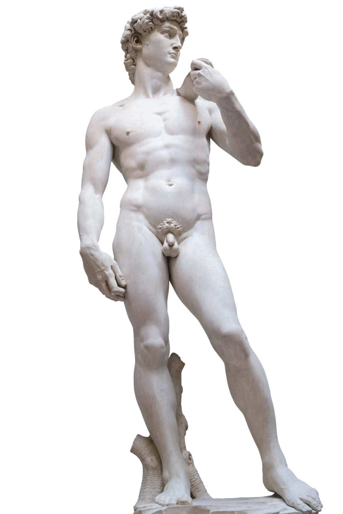 Fotografia. Estátua de mármore de homem nu. Ele está em pé sobre uma pedra, segurando com a mão esquerda, um objeto próximo ao ombro. Ele tem cabelos cacheados e olha para a sua esquerda.
