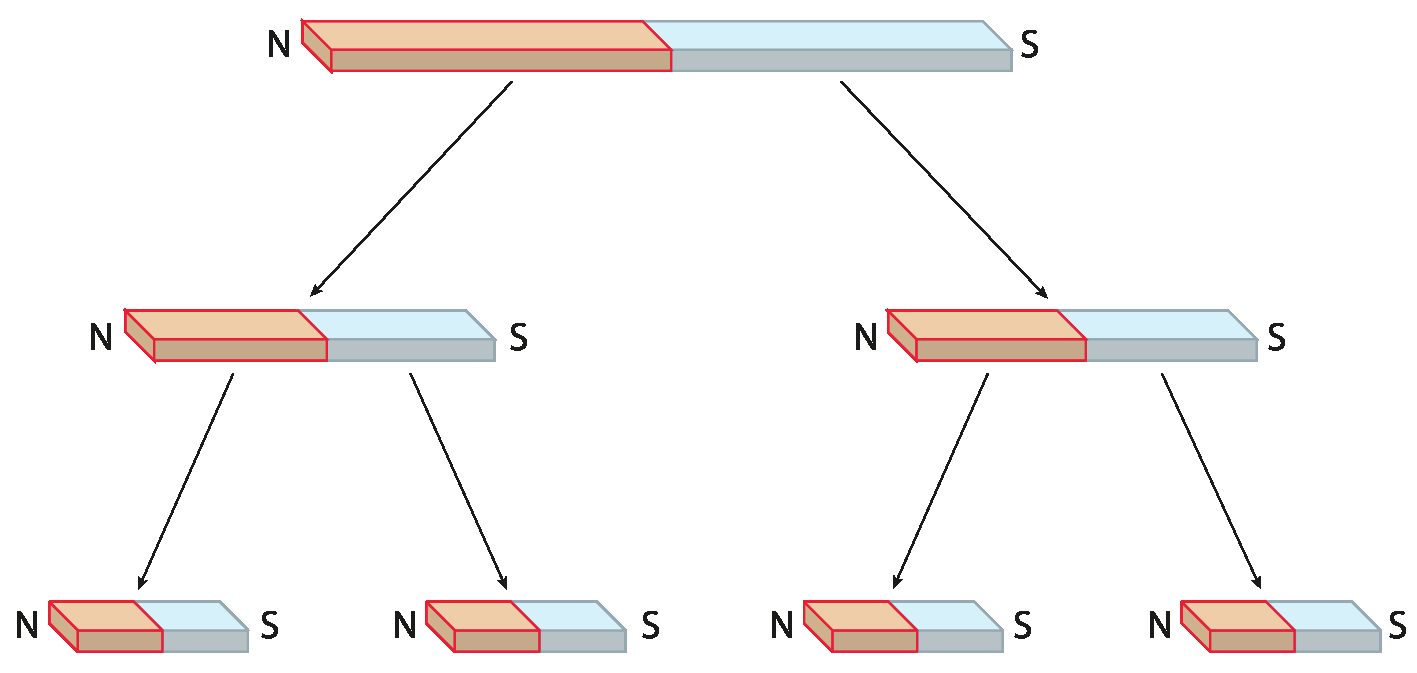 Esquema. Acima, um imã com polo vermelho, à esquerda, indicado por N, e polo azul, à direita, indicado por S. Do lado N parte uma seta para baixo até outro imã, com a mesma configuração do ímã de cima e com metade do tamanho. Do lado N deste segundo ímã. parte outra seta para baixo para um terceiro ímã, com metade do tamanho do segundo e a mesma configuração dos ímãs anteriores. Do lado S do segundo ímã também parte outra seta para baixo, para um quarto ímã com metade do tamanho do segundo e também a mesma configuração dos ímãs anteriores. A partir do lado S do primeiro ímã, há a mesma representação em relação ao seu lado N.