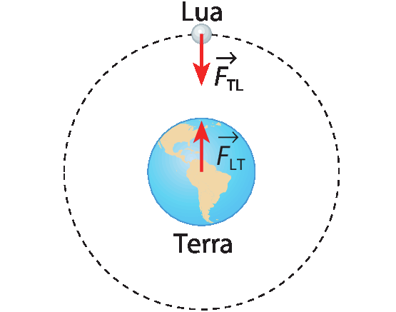 Ilustração que mostra o planeta Terra com uma seta para cima (vetor F l t). Ao redor da Terra, uma linha redonda e tracejada, com a Lua no topo e uma seta para baixo (vetor F t l), na direção da Terra.