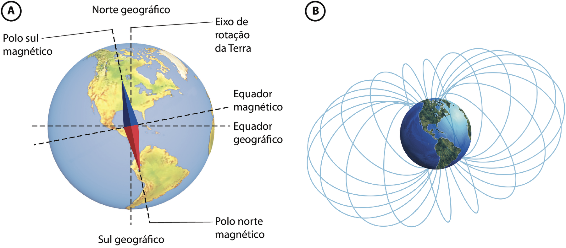 Esquema A. Globo terrestre atravessado por uma linha pontilhada vertical com a indicação eixo de rotação da Terra. Acima dessa linha, a indicação norte geográfico, e abaixo, sul geográfico. Perpendicular ao eixo de rotação, uma linha pontilhada indicada como equador geográfico. Um pouco inclinada no sentido anti-horário em relação ao eixo de rotação, há outra linha pontilhada atravessando a Terra. À frente e alinhado com ela, há um ímã com a metade superior azul e a metade inferior vermelha. Acima dessa linha está indicado polo sul magnético e, abaixo, polo norte magnético. Perpendicular a essa linha, há outra linha pontilhada, indicada como equador magnético. Esquema B. Vários anéis ao redor do globo terrestre. Todos passam pelas regiões dos polos e pelo centro da Terra.