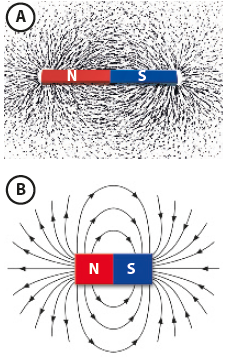 Ilustração A. Um imã com polo vermelho N (à esquerda) e polo azul S (à direita). Ao redor, um pó cinza disperso e organizado em círculos concêntricos em relação ao centro do ímã. Ilustração B. Um imã com polo vermelho N (à esquerda) e polo azul S (à direita). Há setas curvas que saem do polo N em direção ao polo S.