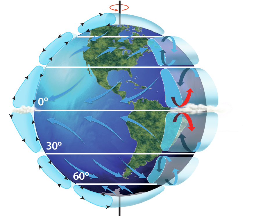 Ilustração. Planeta Terra com uma linha no eixo de rotação e uma seta curva indicando o sentido da rotação. No planeta há divisões horizontais que indicam latitudes: 60 graus ao sul, 30 graus ao sul e 0 grau na linha do Equador. As mesmas marcações estão no Hemisfério Norte. No espaço entre essas latitudes há setas que indicam rotatividade de massas de ar que ascendem a 0° e descendem a 30°, ascendem a 60° e descendem nos polos. Na latitude da linha do Equador há a representação de nuvens.