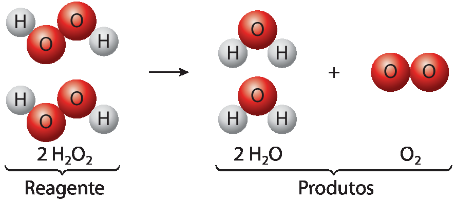 Esquema. À esquerda, os reagentes: duas moléculas formadas por duas bolinhas cinza H ligadas a duas bolinhas vermelhas O, formando 2 H2O2. Seta para os produtos que estão à direita. Três moléculas, sendo duas compostas de uma bola vermelha O ligada a duas bolas cinza H, formando 2 H2O. Ao lado, sinal de mais e uma molécula formada por duas bolinhas vermelhas O, formando O2.