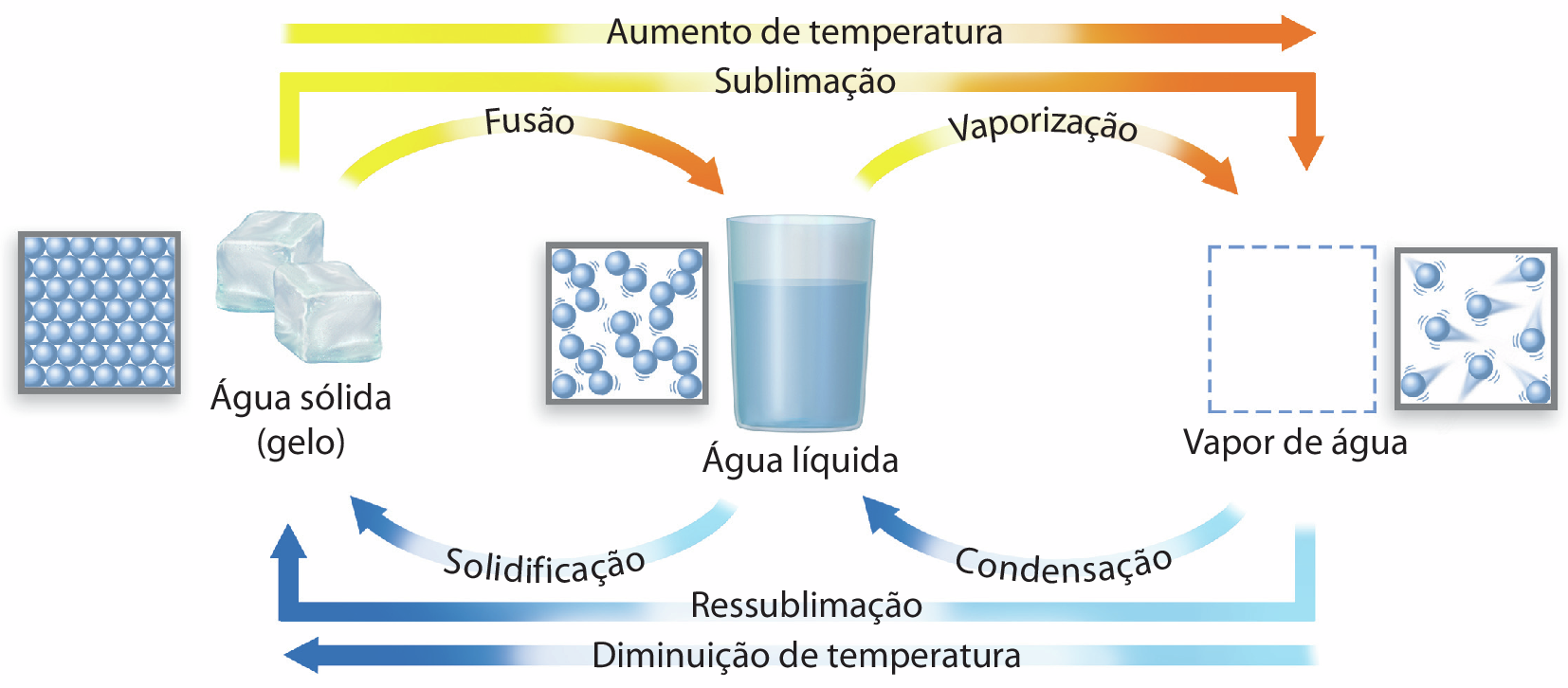 Esquema. À esquerda, dois cubos de gelo com a informação Água sólida (gelo). No centro, copo com água e a informação Água líquida. À direita, quadrado pontilhado sem cor com a informação Vapor de água. Ao lado dos cubos de gelo, destaque para as partículas em forma de bolinhas, todas juntas, sem espaços livres. Ao lado do copo de água, destaque para as partículas desorganizadas em movimento. Ao lado do vapor de água, destaque para as partículas muito desorganizadas, em movimento rápido e com bastante espaço livre. Acima, há uma seta horizontal da esquerda para a direita amarela e laranja com a informação Aumento da temperatura. Abaixo, uma seta horizontal azul da direita para a esquerda com a informação Diminuição da temperatura. Dos cubos de gelo parte uma seta amarela e laranja para o copo de água indicando Fusão. Uma seta azul com sentido oposto indica Solidificação. Dos cubos de gelo parte uma seta amarela e laranja para o vapor de água que indica Sublimação. Uma seta azul com sentido oposto indica Ressublimação. Do copo de água parte uma seta amarela e laranja para o vapor de água que indica Vaporização. Uma seta azul com sentido oposto indica Condensação.