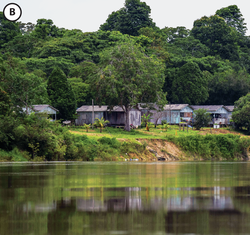 Fotografia B. Vista de local à margem de um corpo de água. Na margem há casas, moitas e, ao fundo, muitas árvores.