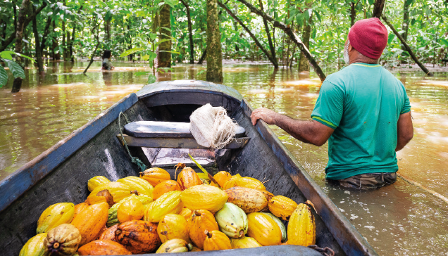 Fotografia. Um homem negro de costas, dentro de um trecho de água até a cintura. Ele está com a mão em um barco com frutas amarelas. À frente, árvores em meio a água.