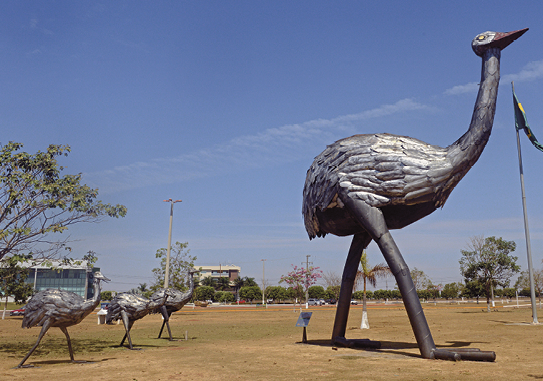 Fotografia que mostra estátua de uma ema caminhando, ave com pernas e pescoço longos. Atrás dela, estátuas menores de filhotes de ema. A obra está em meio a um campo gramado.