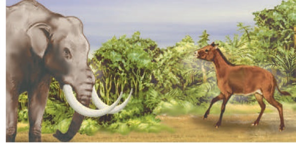 Ilustração. Um elefante e um cavalo aparecem em uma paisagem com vegetação formada por árvores de diferentes portes.