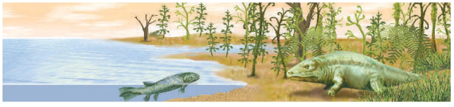 Ilustração. Do lado esquerdo há um lago onde um peixe de corpo alongado e esverdeado está próximo à superfície. Do lado direito, na margem do lago, está um animal de corpo esverdeado e redondo, com cauda e quatro patas, em uma área com algumas plantas.