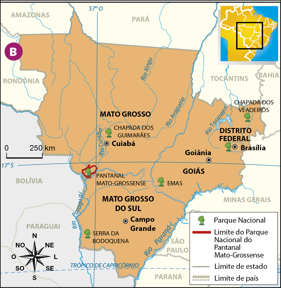 Mapa B. Parques Nacionais na Região Centro-Oeste. Nos três estados estão representados os parques por meio de um elemento gráfico de uma árvore verde. No Mato Grosso estão os parques Chapada dos Guimarães, ao centro do estado, e o parque Pantanal Mato-Grossense ao sul. No Mato Grosso do Sul está o Parque da Bodoquena. Em Goiás está o parque Chapada dos Veadeiros e Emas. A escala é de 0 a 250 quilômetros. A distância em centímetros no mapa entre as capitais Campo Grande, do estado do Mato Grosso do Sul, e Cuiabá, do Mato Grosso, é de 2,20. Já a distância no mapa em centímetros entre Brasília e o Parque Nacional do Pantanal Mato-Grossense é de 4 centímetros.