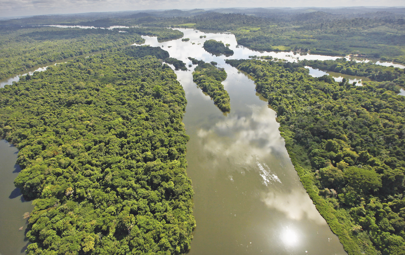 Fotografia. Vista aérea de região plana, com densa vegetação fechada e preservada, onde ao centro há um extenso rio.