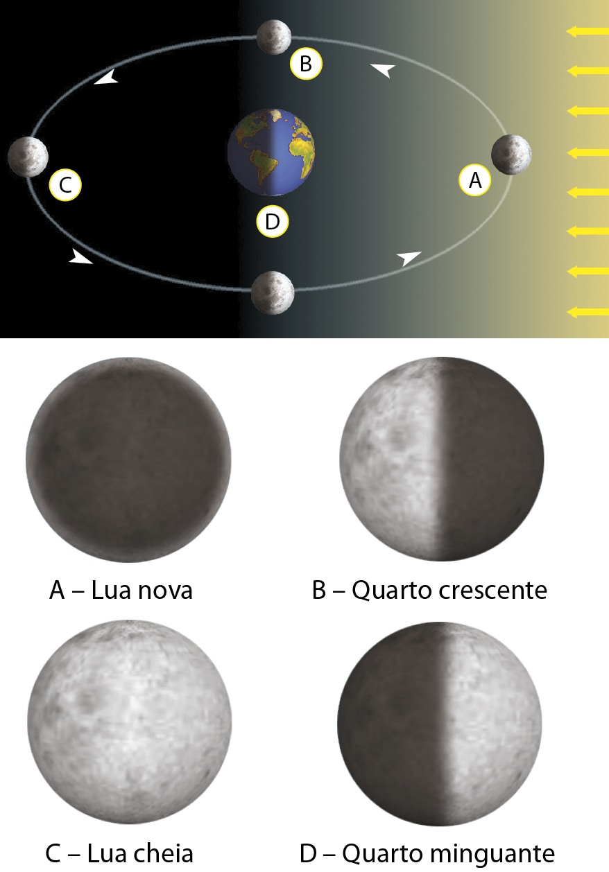Ilustração. Fases da lua. Esquema onde o planeta Terra está ao centro e, em volta, a Lua é representada quatro vezes, em diferentes posições no elipse que sinaliza o seu percurso de movimento de translação. Cada reprodução da Lua recebe uma letra diferente: A, B, C e D. Setas brancas acompanham a elipse, e apontam no sentido anti-horário. No canto direito, diversas setas pequenas e amarelas, enfileiradas na vertical, apontam para a Terra e a Lua, simbolizando a luz do Sol. A Lua A está posicionada na extremidade direita do elipse, mais próxima das setas amarelas, ao lado direito. A parte voltada para a Terra está escura. A Lua B está posicionada no eixo mais estreito da elipse, e a face dela voltada para a Terra está metade iluminada, metade escurecida. A Lua C está posicionada na extremidade esquerda da elipse, e a face voltada para a Terra está completamente iluminada. A Lua D está posicionada no eixo mais estreito da elipse, e a face dela voltada para a Terra está metade iluminada, metade escurecida. Abaixo, as quatro Luas desse esquema  são reproduzidas de acordo com a iluminação que elas recebem do Sol, e nomeadas conforme suas fases. Lua A - Lua nova. Sua face é totalmente escurecida pela sombra. Lua B - Quarto crescente. Sua face está dividida na vertical: o lado esquerdo está iluminado, e o direito, com sombra. Lua C - Lua cheia. Sua face é totalmente iluminada. Lua D - Quarto minguante. Sua face está dividida na vertical: o lado direito está iluminado, e o esquerdo, com sombra.