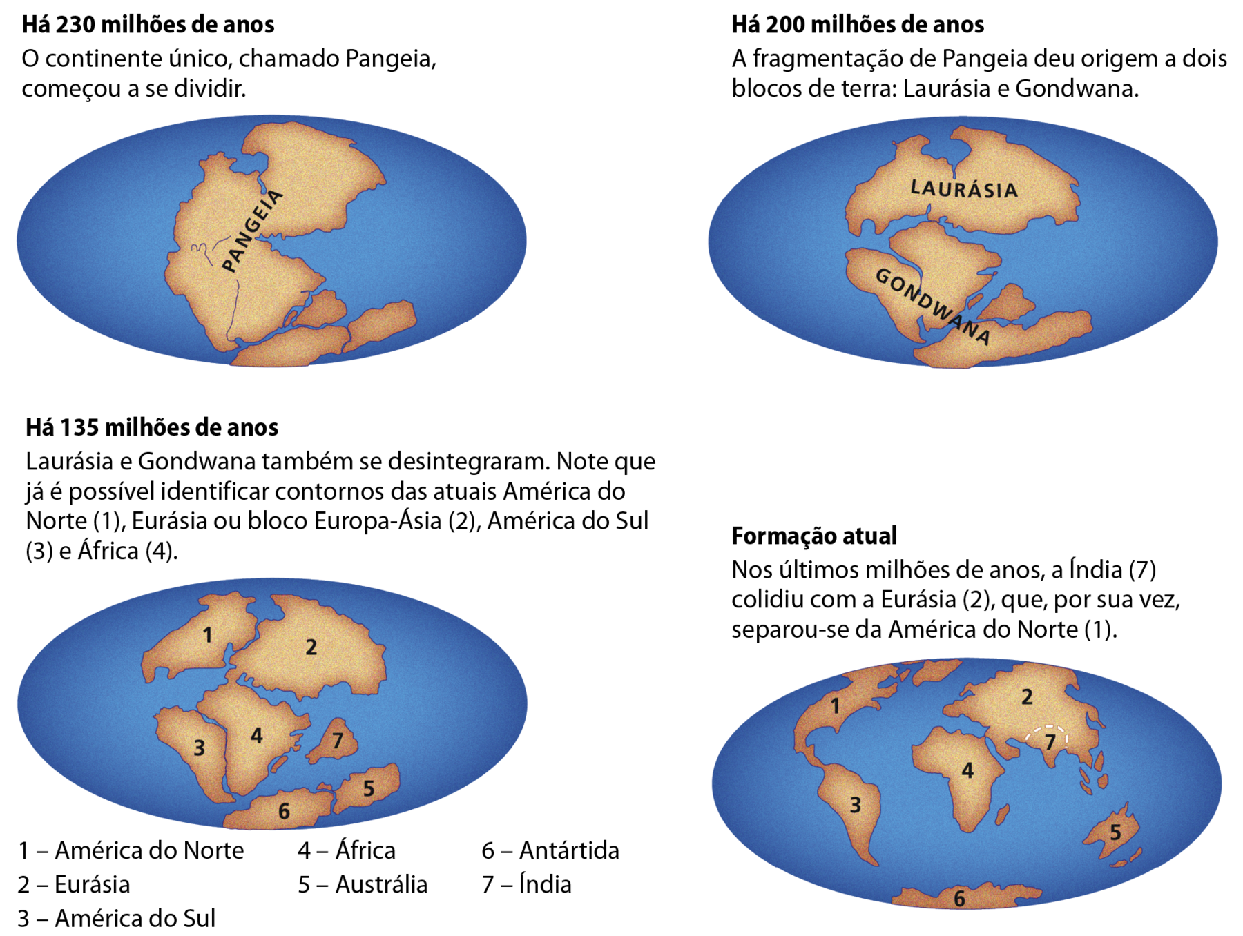 Ilustração. Continentes em formação. A superfície da Terra é representada em quatro momentos distintos: Há 230 milhões de anos, 200 milhões de anos, 135 milhões de anos e formação atual. A representação há 230 milhões de anos está no canto superior à esquerda, e mostra um bloco marrom representando um continente sobre o oceano, que está em azul. No centro desse continente está escrito Pangeia, em preto. Texto explicativo: Há 230 milhões de anos, o continente único, chamado Pangeia, começou a se dividir. A representação há 200 milhões de anos está no canto superior à direita e mostra o continente dividido em dois blocos sobre os oceano. No bloco acima e ao centro está escrito Laurásia, em preto. O bloco da parte de baixo tem o nome de Gondwana. Texto explicativo: Há 200 milhões de anos, a fragmentação de Pangeia deu origem a dois blocos de terra: Laurásia e Gondwana. A representação há 135 milhões de anos mostra a fragmentação do bloco em 7 partes que ainda estão próximas umas das outras. Texto explicativo: Há 135 milhões de anos Laurásia e Gondwana também se desintegraram. Nesse momento já é possível identificar contornos das atuais América do Norte (1), Eurásia ou bloco Europa-Ásia (2), América do Sul (3) e África (4). 1: América do Norte 2: Eurásia 3: América do Sul 4: África 5: Austrália 6: Antártida 7: Índia A formação atual mostra os continentes numerados da mesma forma que a representação há 135 milhões de anos. Porém, a posição de cada continente é a mesma verificada atualmente. Texto explicativo: Nos últimos milhões de anos, a Índia (7) colidiu com a Eurásia (2), que, por sua vez, separou-se da América do Norte (1).