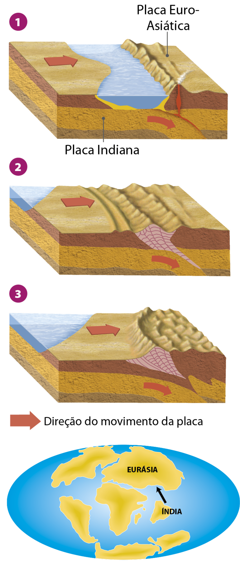 Ilustração. Formação do Himalaia. Sequência de 3 blocos diagramas mostrando a formação do Himalaia. Ilustração 1: na superfície, cadeia montanhosa à direita e oceano ao centro; no subterrâneo, placa Indiana, à esquerda, entrando por baixo da placa Euro-Asiática, à direita. Setas vermelhas indicam o movimento das placas e na área de atrito entre ela, há magma próximo à superfície na altura da cordilheira. Ilustração 2: segunda ilustração, mantem-se uma seta vermelha na superfície da Placa Tectônica Indiana no sentido da esquerda para a direita, indicando que a Placa se move em direção à Placa Euro-Asiática. Nesta figura, o mar não está mais no meio das duas placas tectônicas, mas foi deslocado para o canto superior esquerdo. Agora, a compressão entre as duas placas tectônicas geram novas formações montanhosas que se concentram no centro da figura, onde antes estava o mar. Ilustração 3: Na terceira imagem da série, o mar ocupa a maior parte do canto superior esquerdo, indicando que as terras da Placa Indiana avançaram ainda mais sobre a Placa Euro-Asiática. Há uma seta vermelha na superfície que indica que continua o movimento da Placa Indiana no sentido da esquerda para a direita. Nessa figura, há uma cadeia de montanhas maior do que na segunda imagem, demonstrando que o choque entre as placas foi capaz de gerar uma cordilheira. Nas camadas abaixo da superfície ainda há a seta na diagonal indicando que a placa Indiana está ainda mais curva e a Placa Euro-Asiática está soerguida. Há, ainda, uma quarta ilustração da série, mostrando a distribuição de terras continentais, sendo duas delas a Eurásia e a Índia. Há uma seta que indica que a Índia se move em direção à Eurásia.