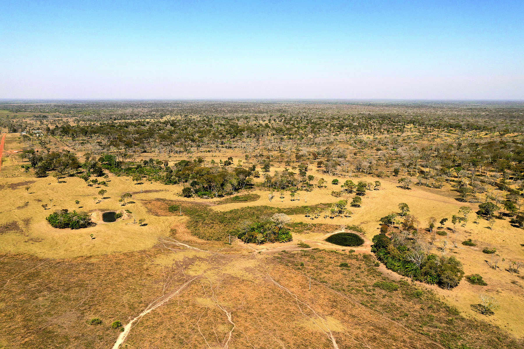 Fotografia. Vista de um terreno plano, cujo solo apresenta tons terrosos. Nessa paisagem, há vegetação esparsa e de menor porte, composta por arbustos e árvores pequenas.