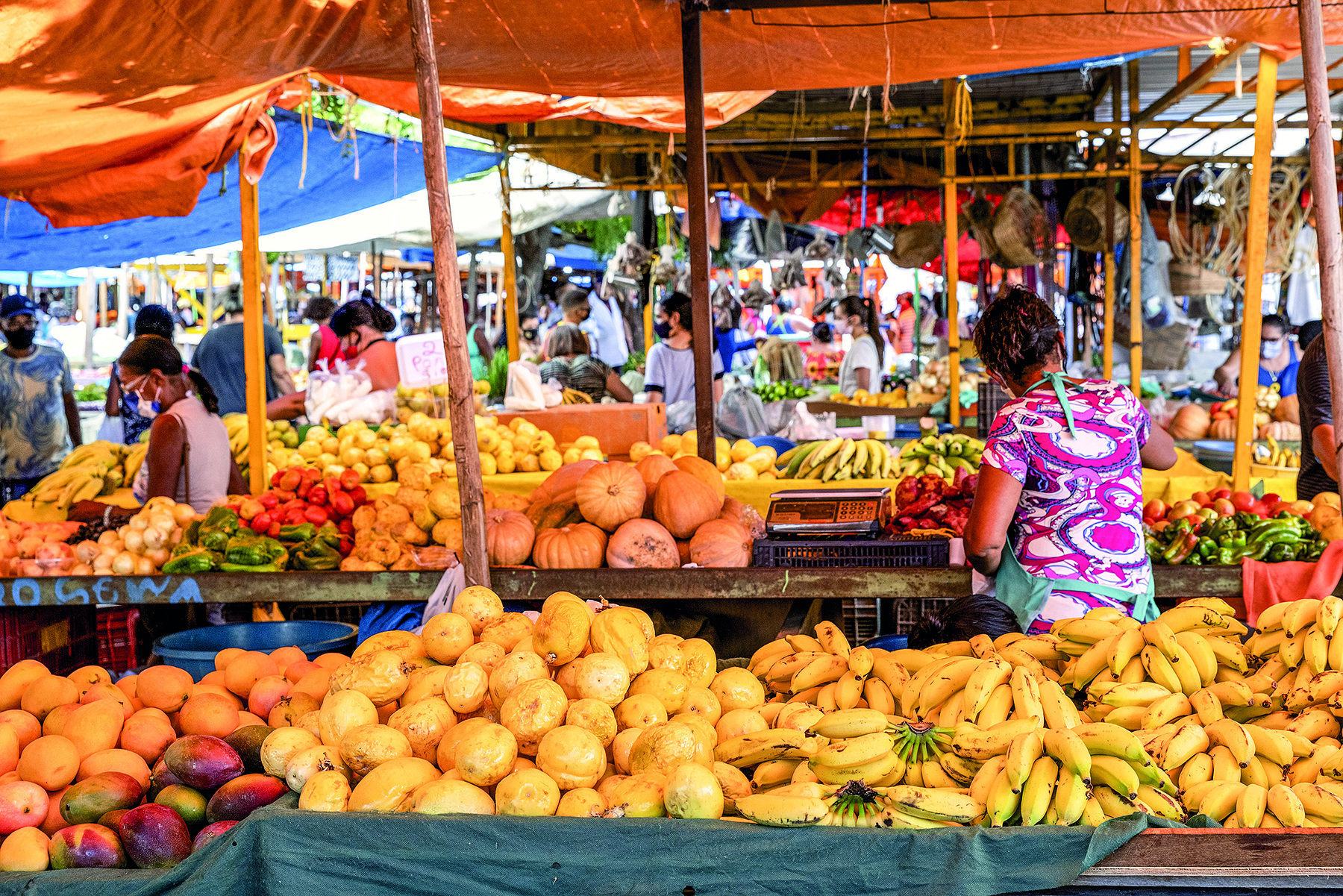 Fotografia. Vista para o interior de uma feira livre. No primeiro plano, duas barracas paralelas com diversos tipos de frutas e legumes, como maracujá, banana, manga, batata, entre outros. Entre as duas barracas, uma mulher usando avental está de costas e em pé, manuseando os alimentos, ao lado de uma balança. No segundo plano, diversas pessoas circulando ao lado de outras barracas de frutas e legumes.